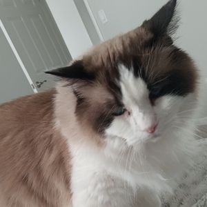 Meet your Posher, Lucy